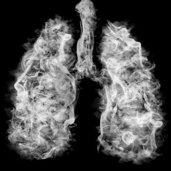 Lungs